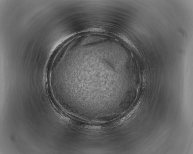 X0000112931070200909071028