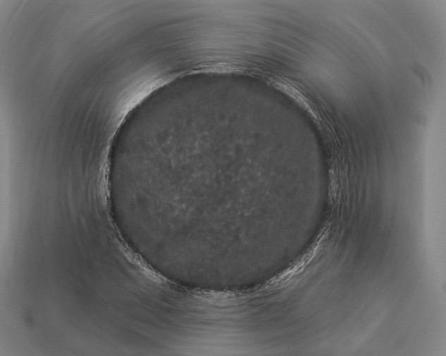 X0000112931071200909071028