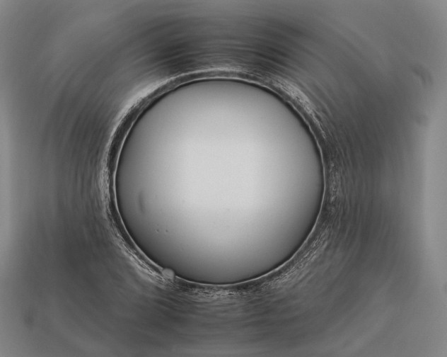 X0000112931072200909071028