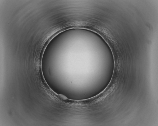 X0000112931073200909071028