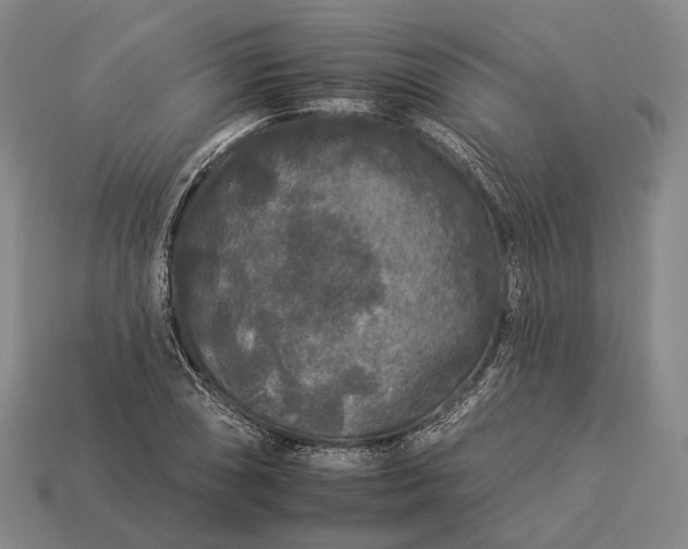 X0000112931074200909071028