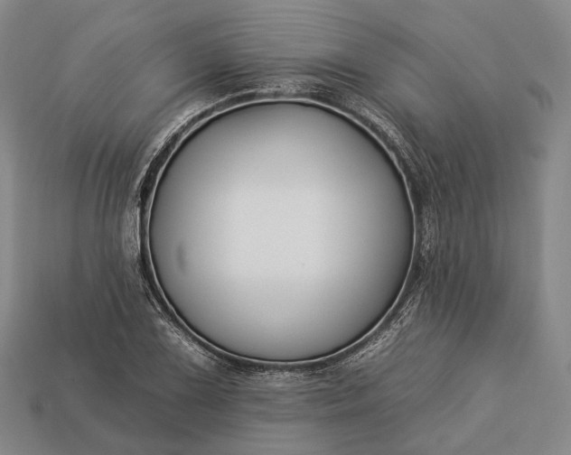 X0000112931075200909071028