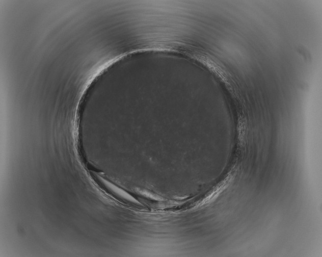 X0000112931077200909071028