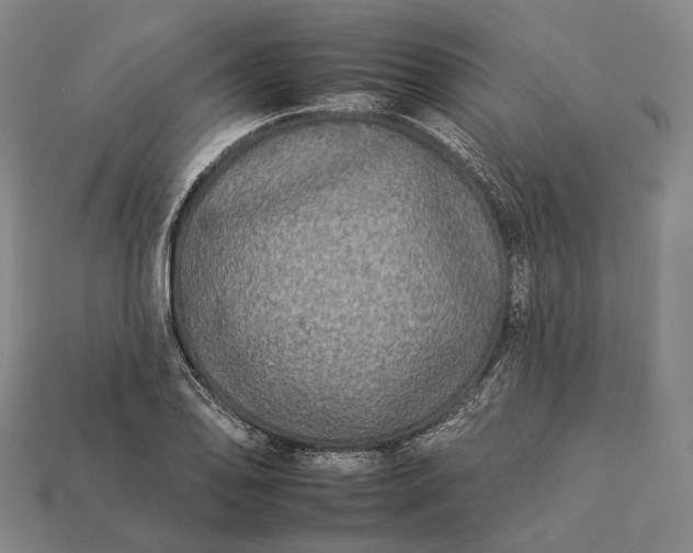 X0000112931078200909071028