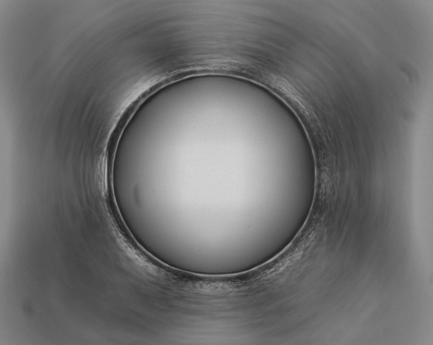 X0000112931079200909071028