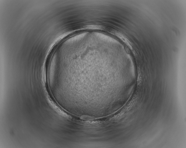 X0000112931080200909071028