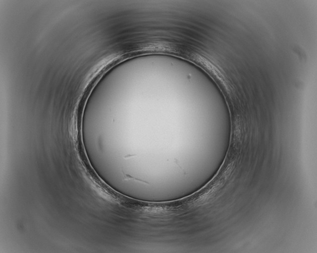 X0000112931082200909071028