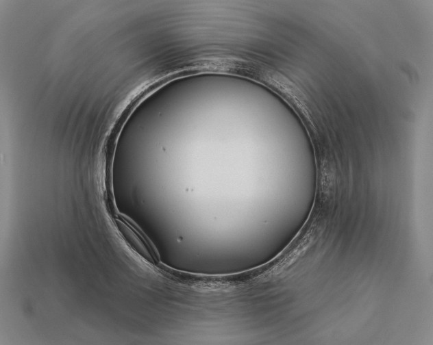 X0000112931083200909071028