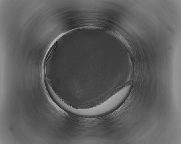 X0000112931084200909071028