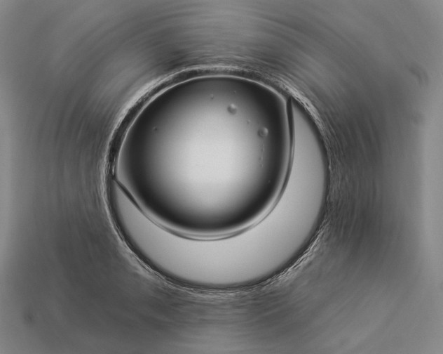 X0000112931085200909071028