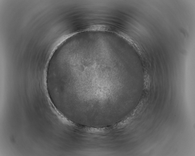 X0000112931086200909071028