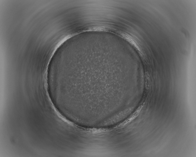 X0000112931087200909071028