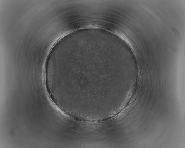 X0000112931088200909071028