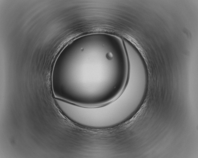 X0000112931089200909071028