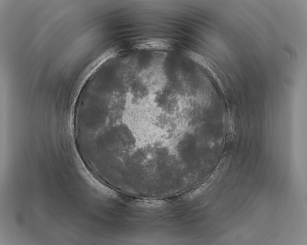 X0000112931090200909071028