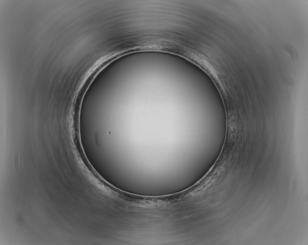 X0000112931091200909071028