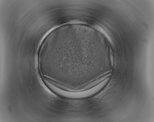 X0000112931092200909071028