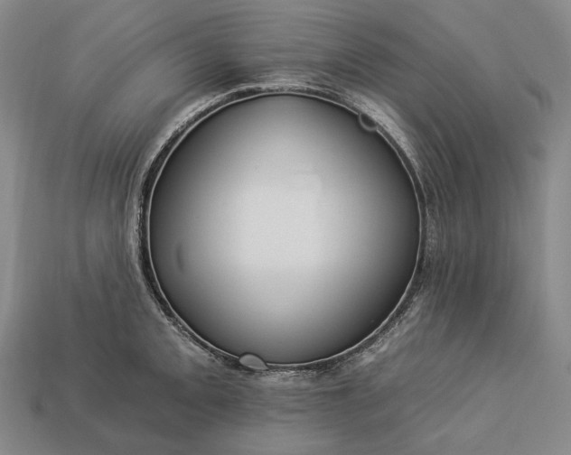 X0000112931093200909071028