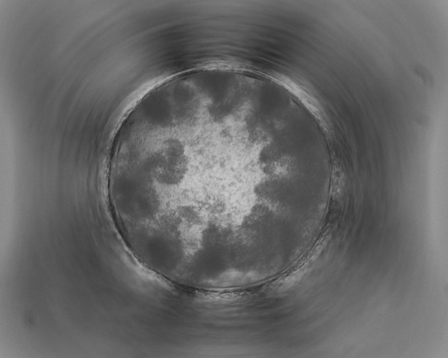 X0000112931094200909071028