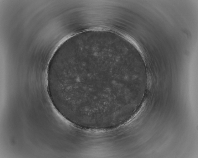 X0000112931095200909071028