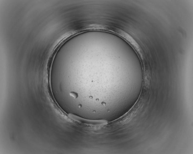 X0000112931096200909071028