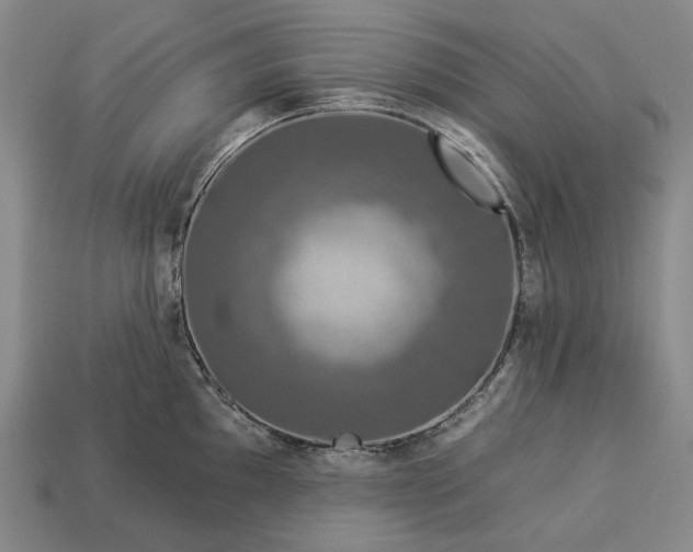 X0000112931097200909071028