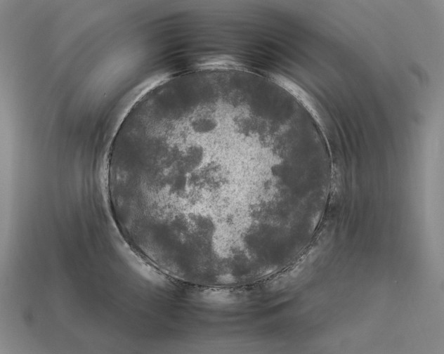 X0000112931098200909071028