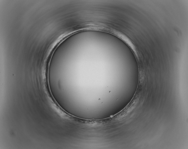 X0000112931099200909071028