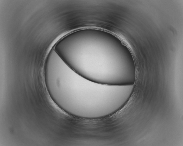 X0000112931100200909071028