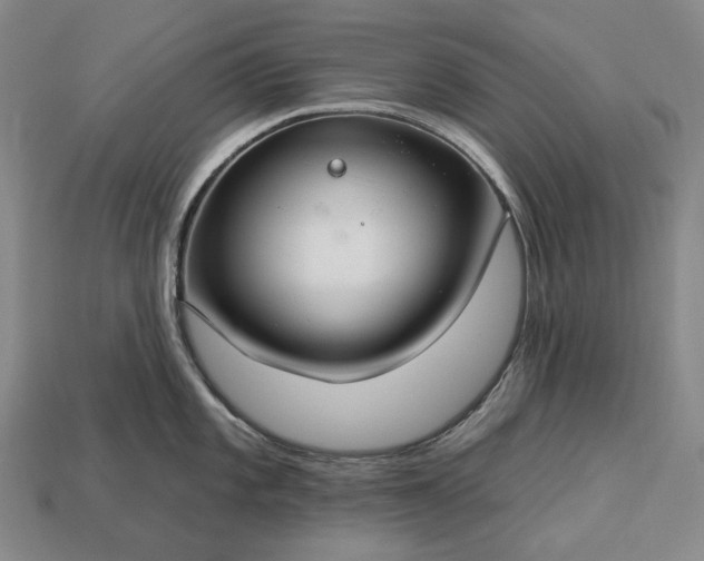 X0000112931101200909071028