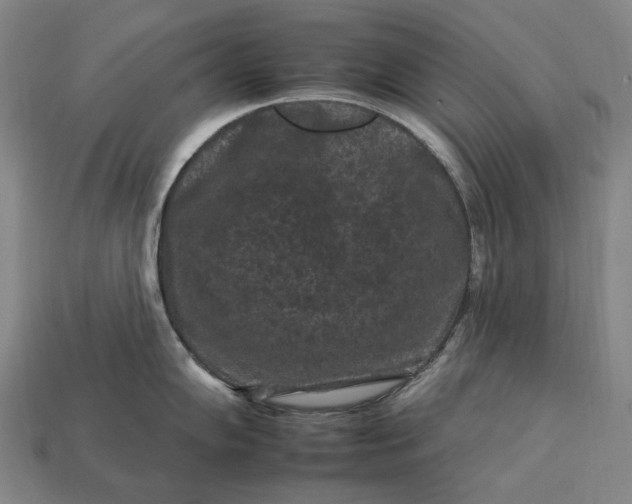 X0000112931102200909071028