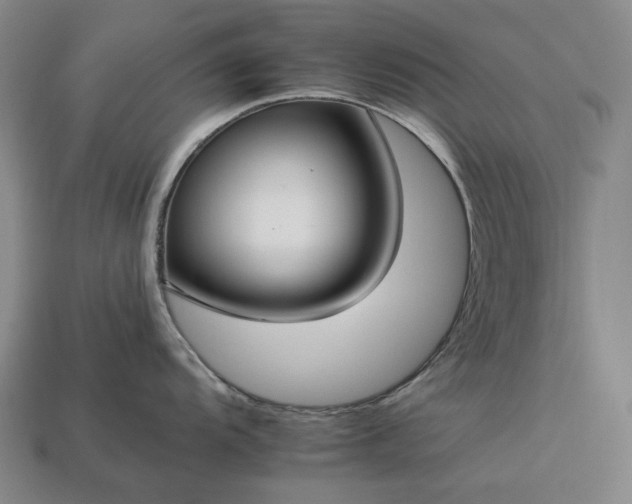 X0000112931104200909071028