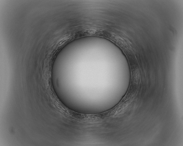 X0000112931105200909071027