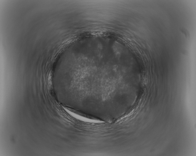 X0000112931106200909071027