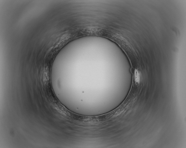 X0000112931107200909071027