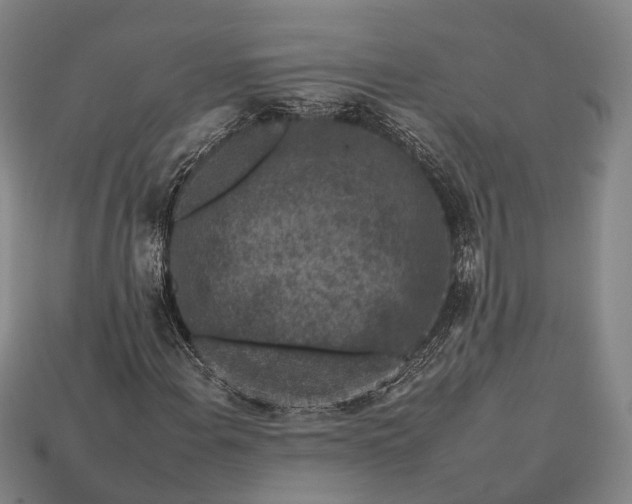 X0000112931108200909071027