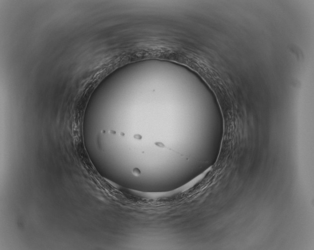 X0000112931109200909071027