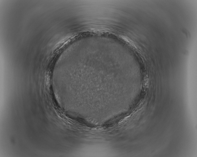 X0000112931110200909071027