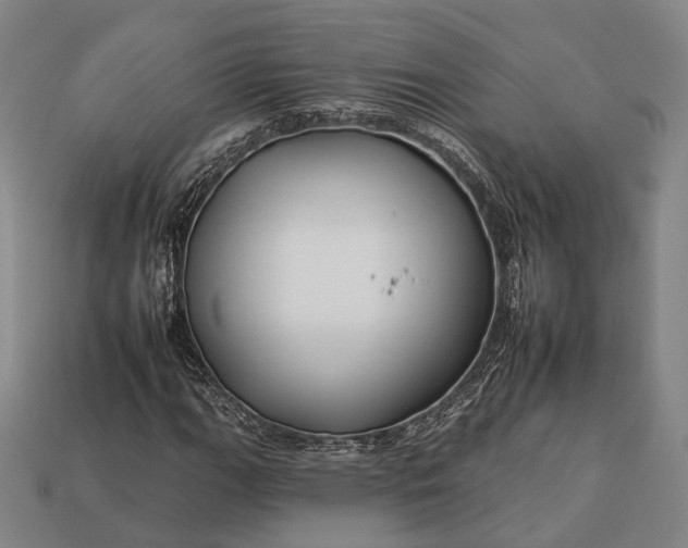 X0000112931111200909071027