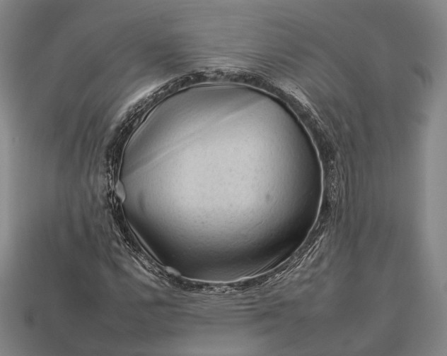 X0000112931112200909071027