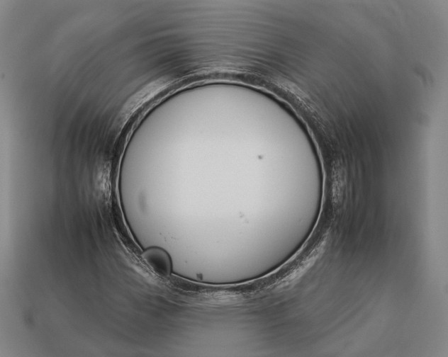 X0000112931113200909071027