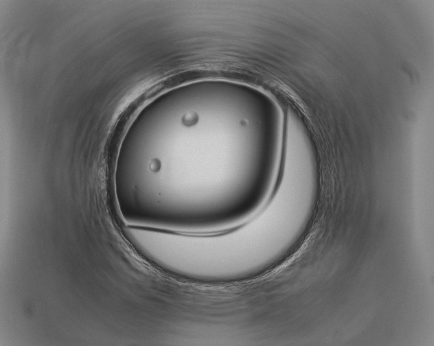 X0000112931114200909071027