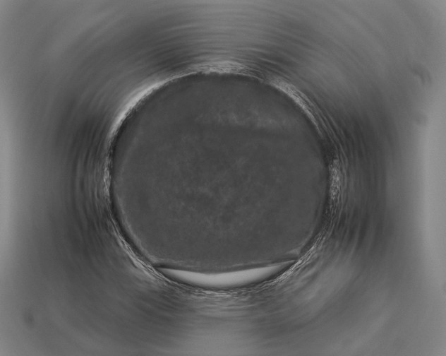 X0000112931115200909071027