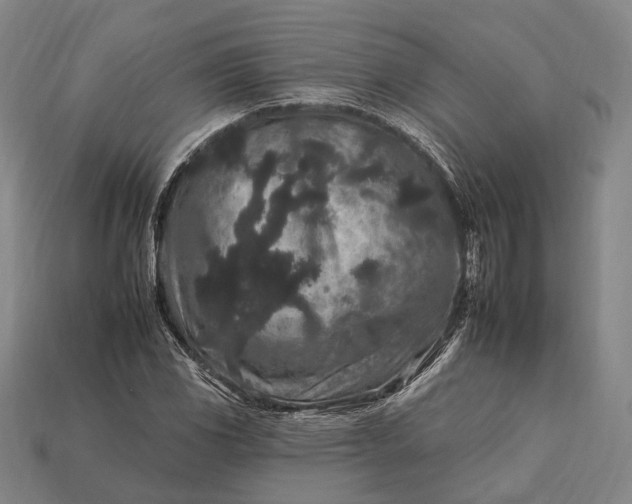 X0000112931117200909071027