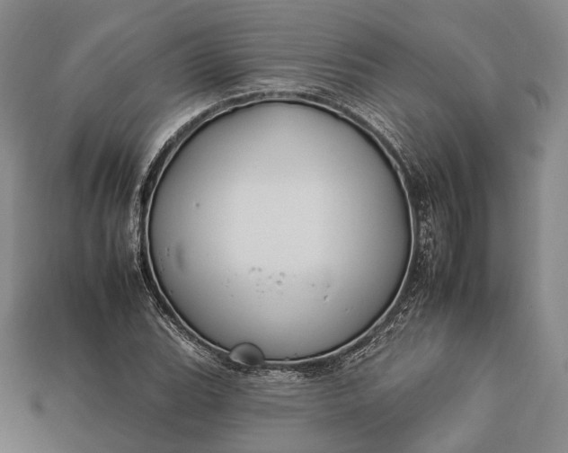 X0000112931119200909071027