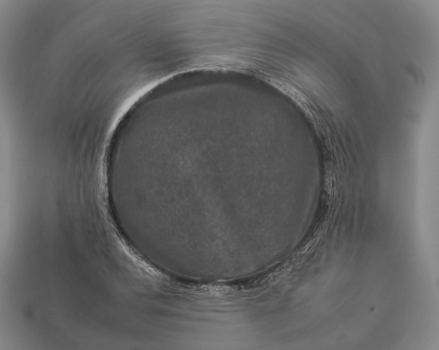 X0000112931120200909071027