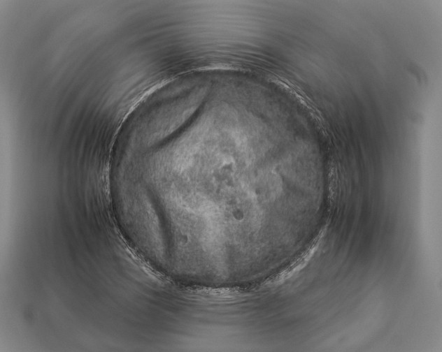 X0000112931121200909071027