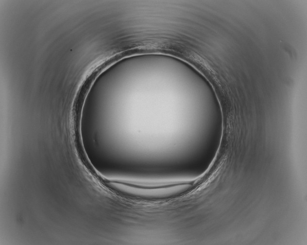 X0000112931122200909071027