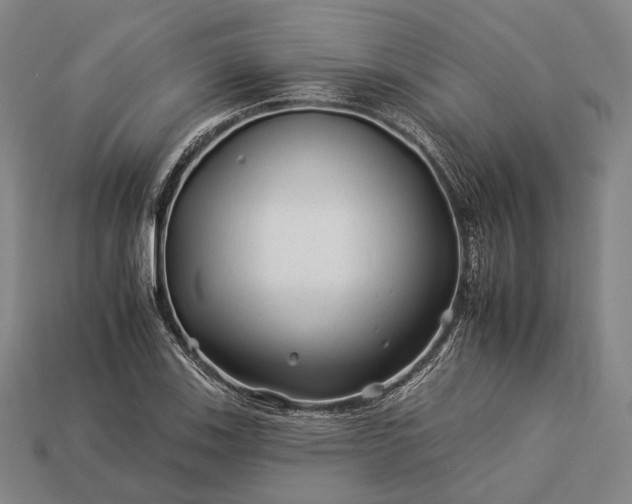 X0000112931123200909071027