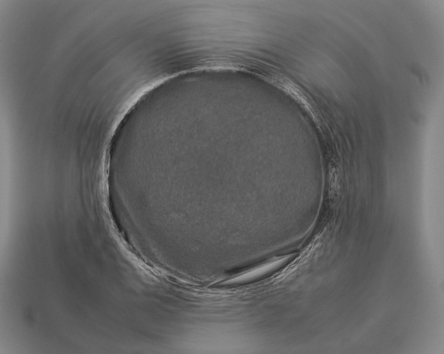 X0000112931124200909071028